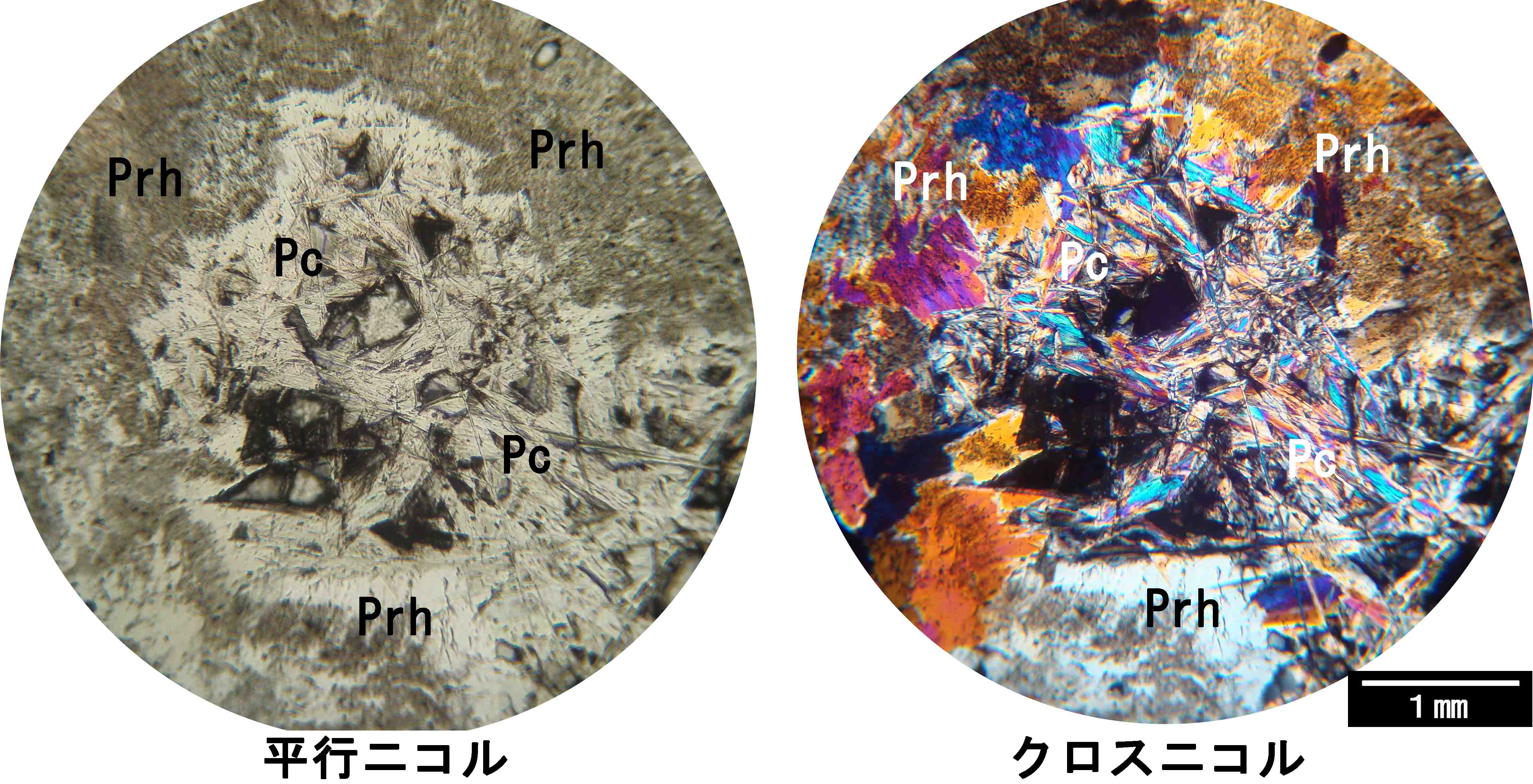 ペクトライト pectolite